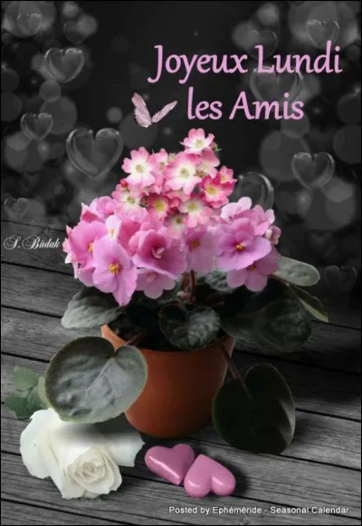 Qui chante "Le Lundi au soleil" ?