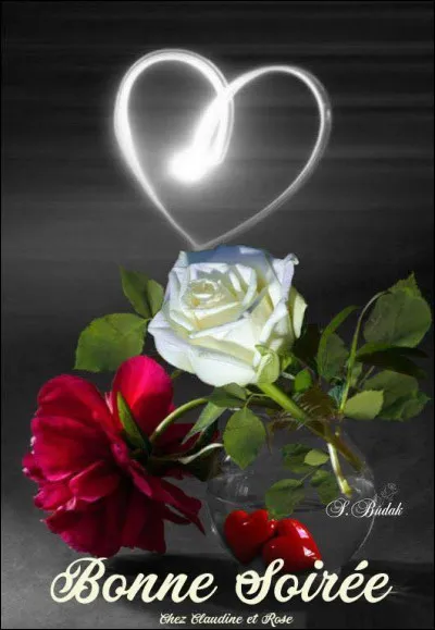 Qui présentait l'émission de variétés "Sacrée soirée" ?