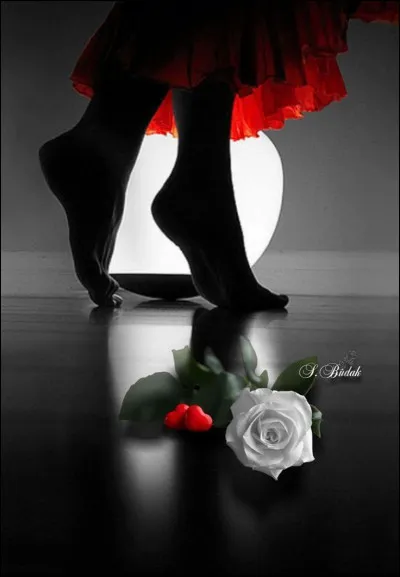 Dans quel département la commune de Saint-Jean-Pied-de-Port est-elle située ?