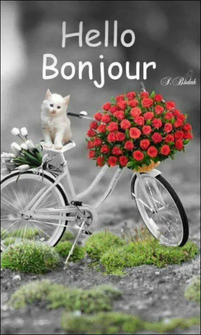 À quel groupe doit-on le titre "Hello, Goodbye" ?