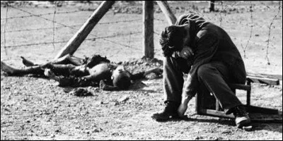 Duquel de ces pays Antonescu était-il le dictateur, pays duquel il a également participé à l'extermination des populations juives ?