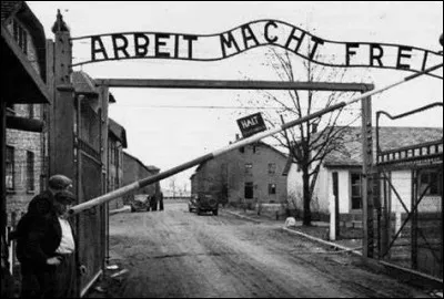 Dès l'invasion duquel de ces pays les Einsatzgruppen ont-ils été créés ?