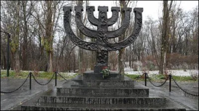 Quel pesticide a été testé sur les prisonniers dès 1941 dans le camp d'Auschwitz-Birkenau ?