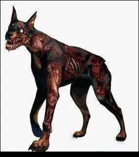 Quel est ce monstre de Resident Evil 1, 2, 3 et code Veronica ?