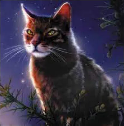 De quel livre vient cette image ?