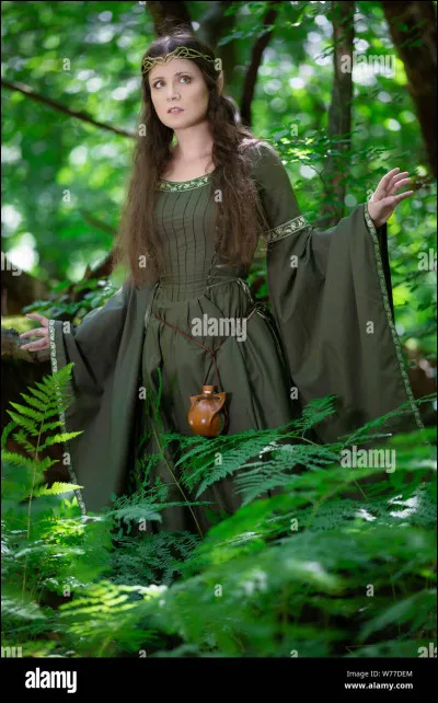 Le chef s'apprête à te répondre, quand, au moins, 40 elfes sortent des buissons : c'est la garde royale ! Le chef et un autre elfe de la Lune te poussent dans un buisson pour t'aider à t'échapper. 
Que fais-tu ?