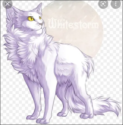 Quel est le lien de parenté entre Étoile Bleue et Tornade Blanche ?