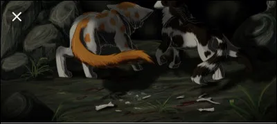 Comment Nuage Agile est-il mort et Nuage Blanc est-elle défigurée ?