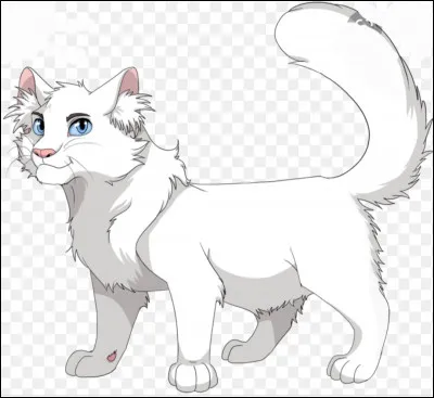 Qui est Flocon de Neige pour Cur de Feu ?