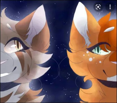 Qui sont les filles d'Étoile de Feu ?