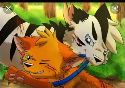 Qui attaque-t-il avant son baptême d'apprenti ?