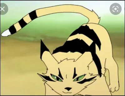 Pourquoi l'a-t-il attaqué ?