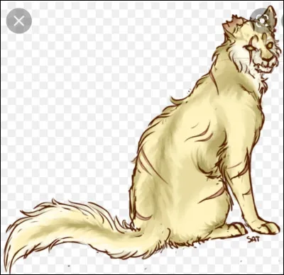 Par qui s'est t'elle fait assassiner ?