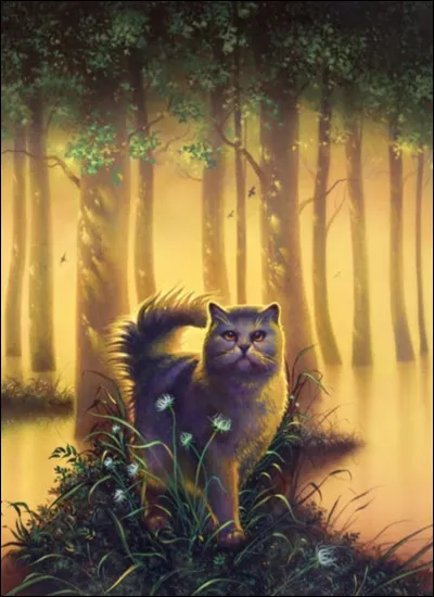 Pourquoi est-elle sur le territoire du Tonnerre ?