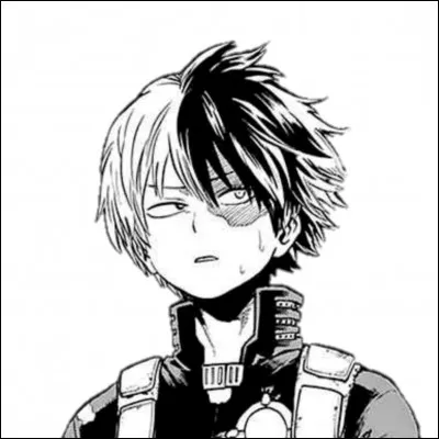 Quel est le MBTI de Shoto Todoroki ?