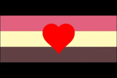 Que représente ce drapeau ?