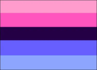 Ce drapeau est celui des...