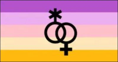 Les personnes représentées par ce drapeau sont les...