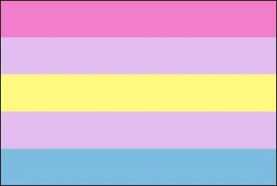 Quel groupe d'individus représente le drapeau ci-dessus ?