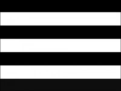 Les personnes représentées par ce drapeau sont les...