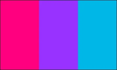 Ce drapeau est celui des...