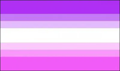 Quel groupe d'individus représente le drapeau ci-dessus ?