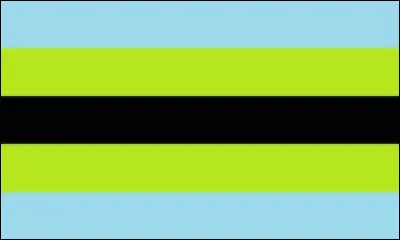 Ce drapeau est celui des...