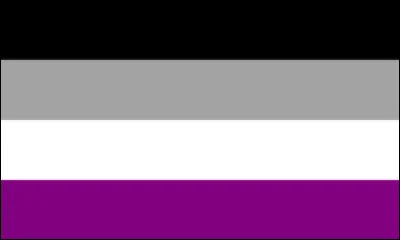 Que représente ce drapeau ?