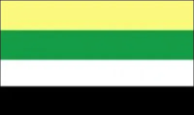 Ce drapeau est celui des...