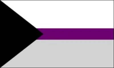 Les personnes représentées par ce drapeau sont les...