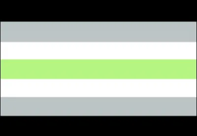 Que représente le drapeau ci-contre ?