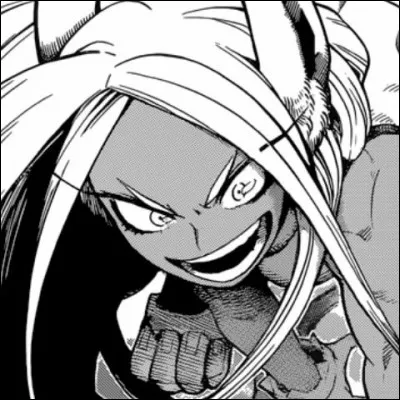 Quel est le MBTI de Mirko ?