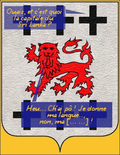 Allez, on se fait un petit "Question pour un Blason" ?
