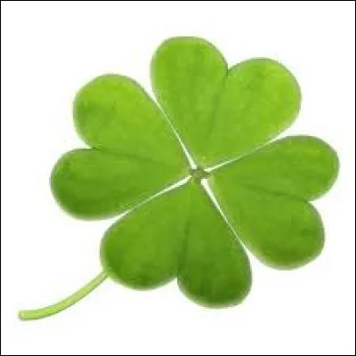 Selon tes particularités, ce que disent tes proches de toi, penses-tu être chanceux ?