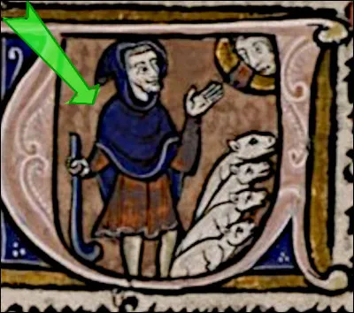 Quel vêtement (en bleu sur l'image) porte ce personnage, qui couvre les épaules, pourvu d'une capuche ?