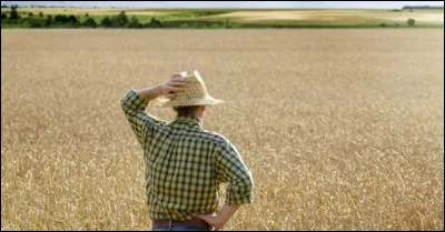 Quelle machine vais-je prendre pour ce champ ?