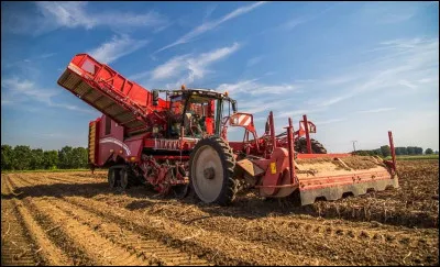 Quel légume récolte cet agriculteur ?