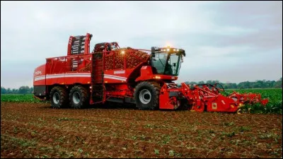 Quel légume récolte cet agriculteur ?