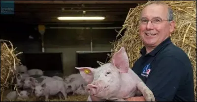 Quelle est la durée de gestation d'une truie ?