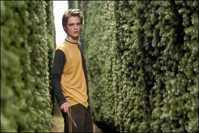 Qui meurt dans le cimetière (HP4) ?