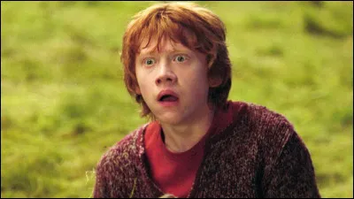 Dans quelle maison ce cher Ron se trouve-t-il ?