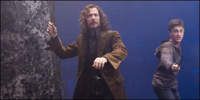 Un autre personnage bien connu. Dans quelle maison Sirius Black était-il ?