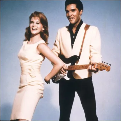 Quel chanteur qui a connu le succ&egrave;s dans les ann&eacute;es 1970 a pr&eacute;c&eacute;demment &eacute;crit des chansons pour Elvis Presley ?