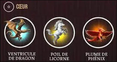 Quel est ton cur de baguette préféré ?