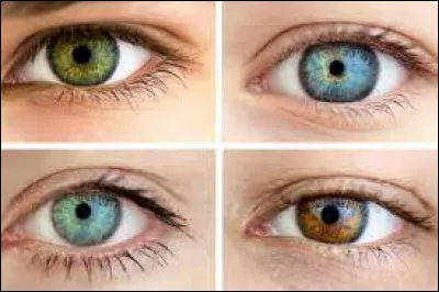 Quelle est couleur des yeux ?