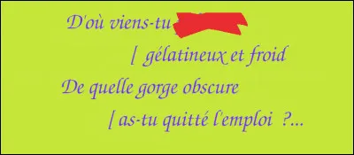 On se pose la question, justement !