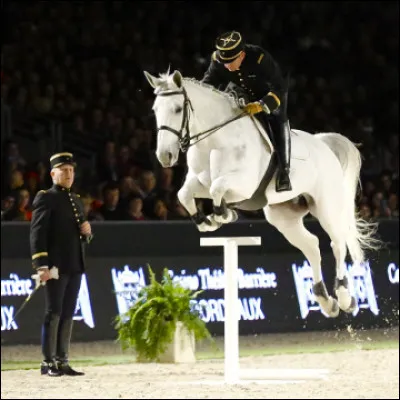 Quelle est la principale fonction du Cadre noir ?