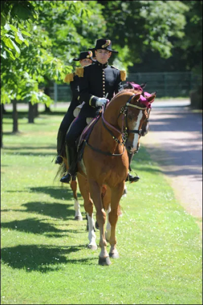 En 2010, le Cadre noir fusionne avec les Haras nationaux pour former...