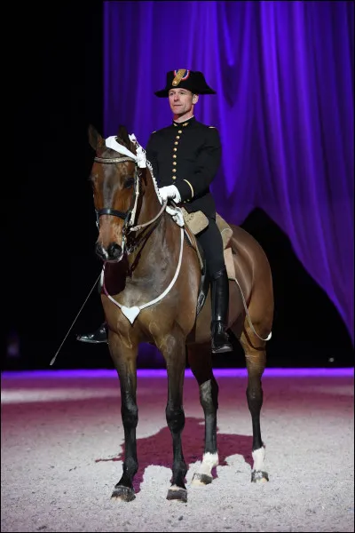 Le Cadre noir de Saumur compte ... chevaux.