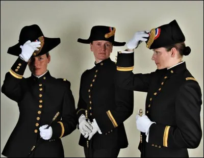 Au Cadre noir, on peut trouver des Selle français.